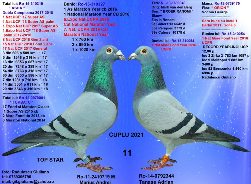 11 TOPSTAR & JELEMA 344 - cupluri 2021