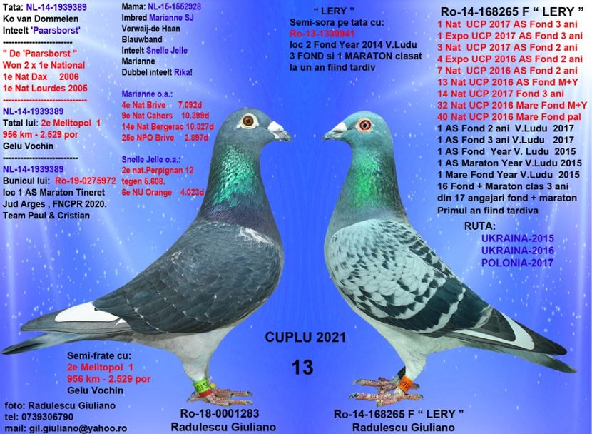 13 ULTIEM & CAMP 265 - cupluri 2021