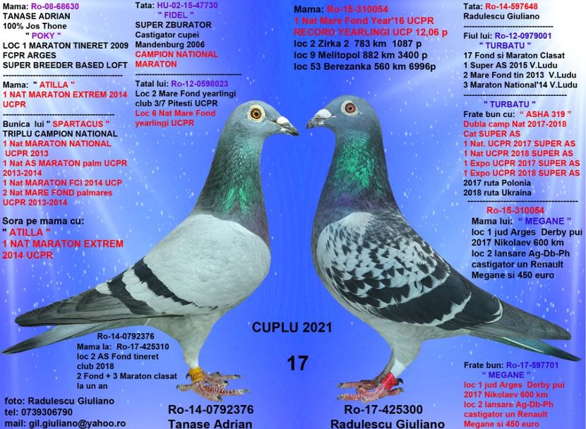 17 FR MEGAN & POKY 376 - cupluri 2021