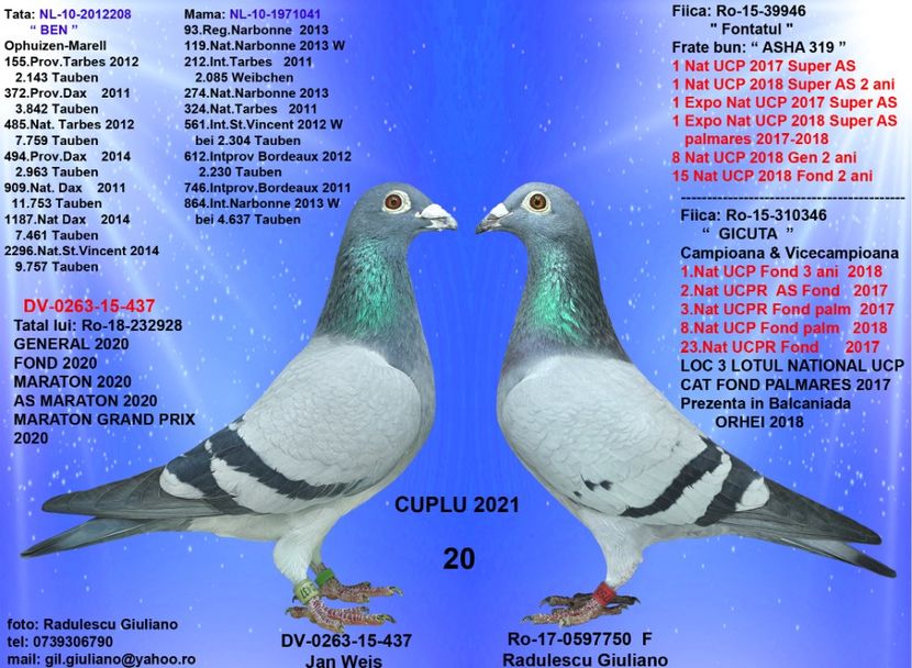 20 NEAMTU & FIICA GICUTADE 17 - cupluri 2021