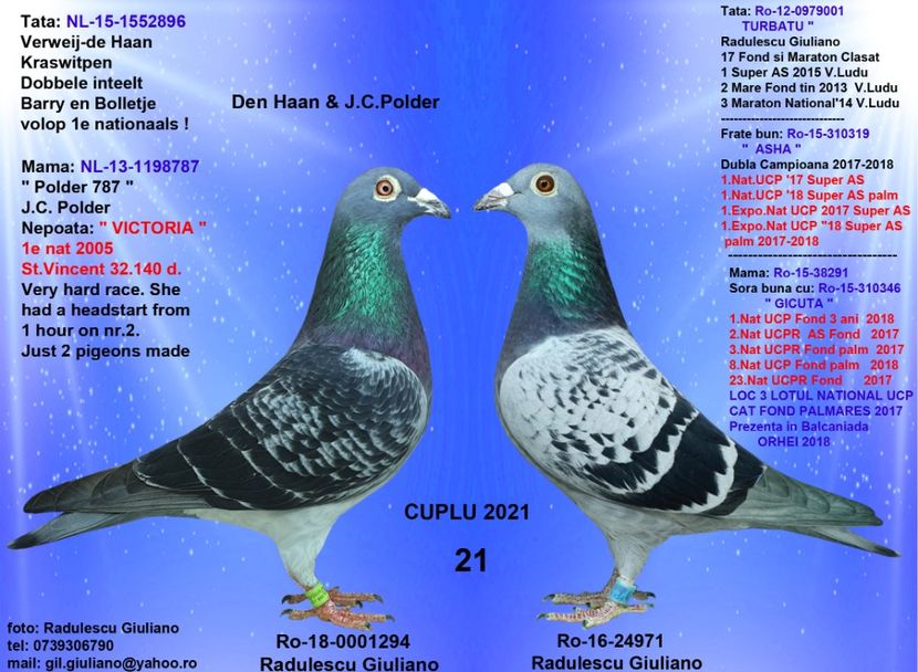 21 DE HAN MARCU & TURBATA - cupluri 2021