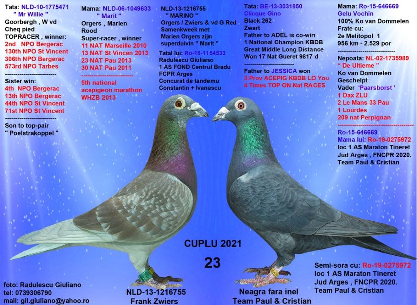 23 ZWIERSU & NEAGRA FARA INEL - cupluri 2021