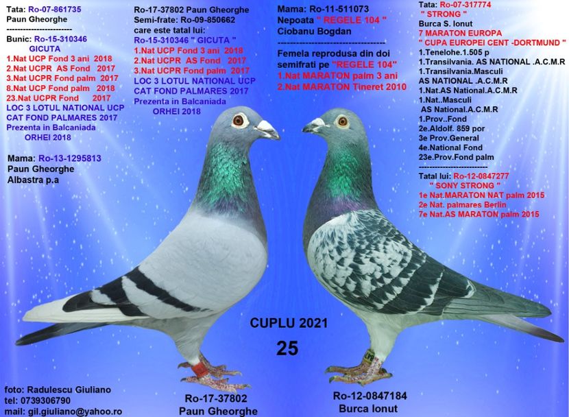 25 LISTU BITU & STRONG - cupluri 2021