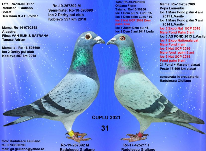 31 MOSAICAT & MOZAICATA - cupluri 2021