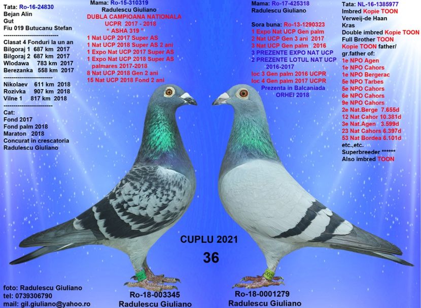 36 FIU ASHA & FIICA 318 - cupluri 2021