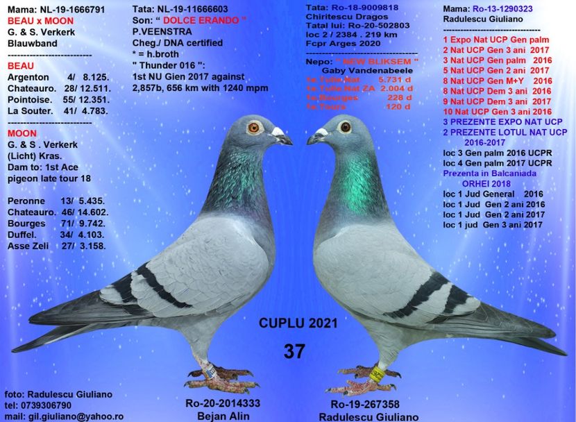 37 VERKEK & GABY 358 - cupluri 2021