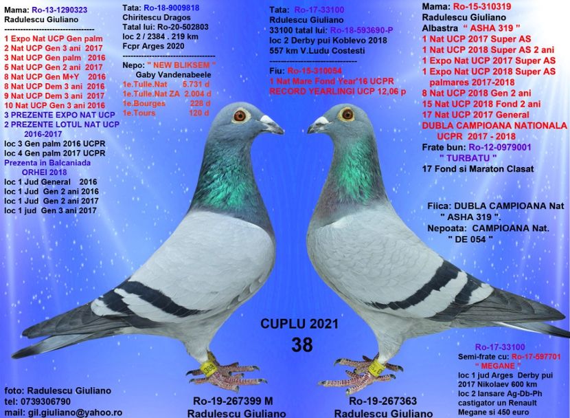 38 GABY TOADER & FIICA ASHA - cupluri 2021