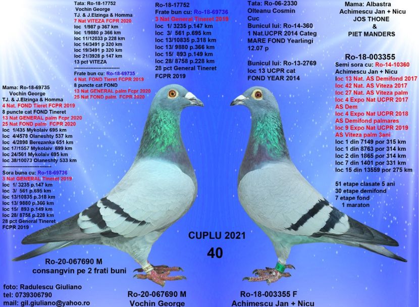 40 ELZINGA & 3355 - cupluri 2021