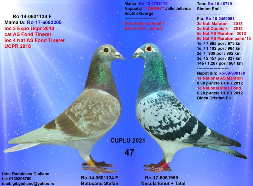 47 & ROSIA BUTUCANU - cupluri 2021