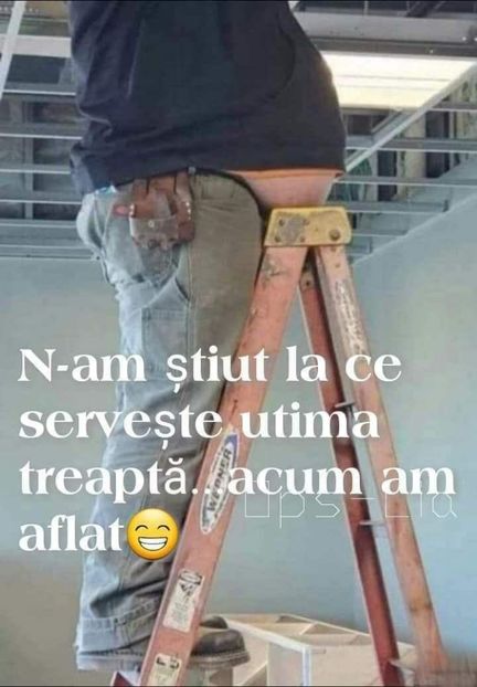  - Divertisment 2