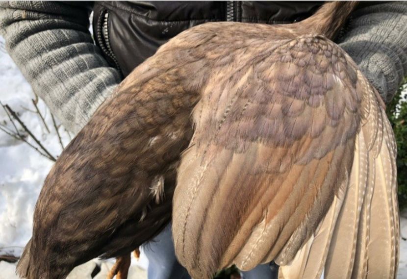 O fi bine? - Matca 2021