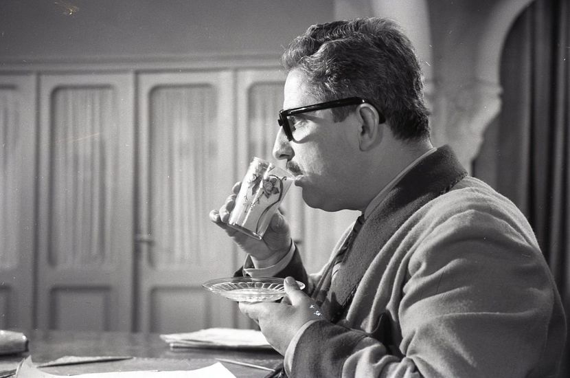 Corigenta Domnului Profesor - Corigenta Domnului Profesor 1966
