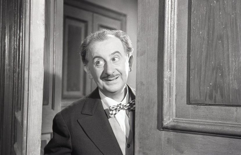 Corigenta Domnului Profesor - Corigenta Domnului Profesor 1966