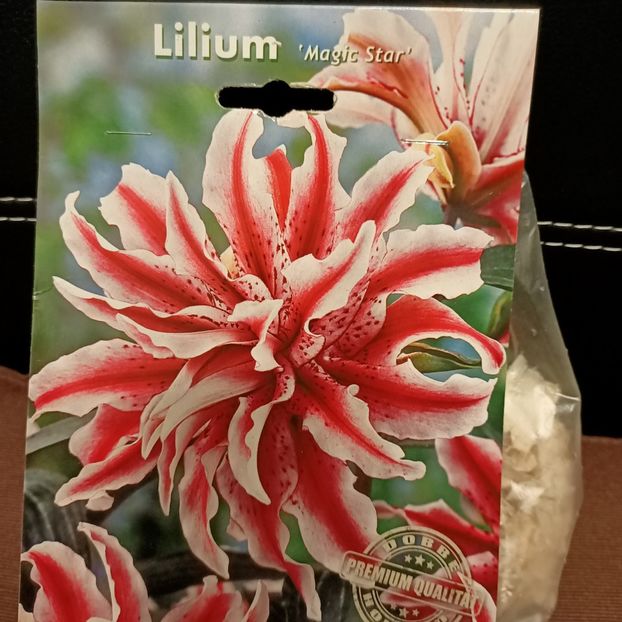 8.03.2021 Crin - 'Magic Star' - 1 Achiziție nouă