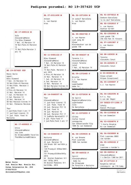 b RO19357420UCP-page-001 - Matca 2021