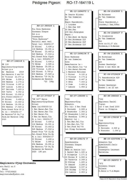 received_210516274059359 - Matca 2021