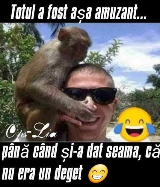  - Divertisment 3