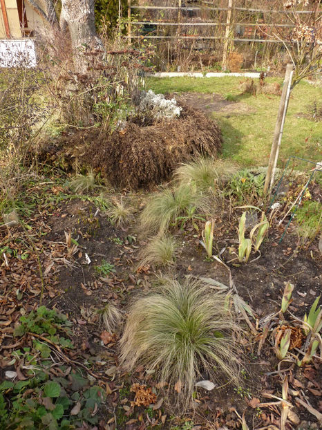  - 2021 - 01 - Primavara