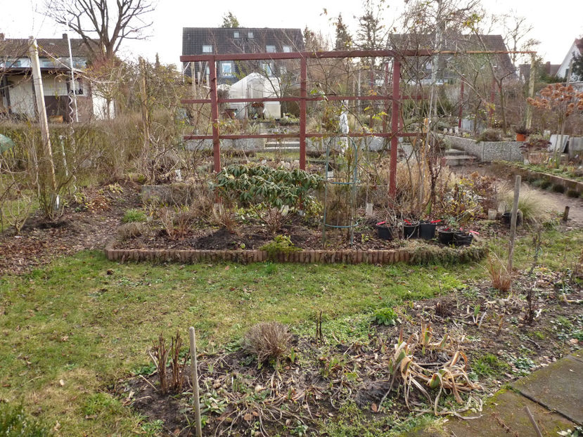  - 2021 - 01 - Primavara