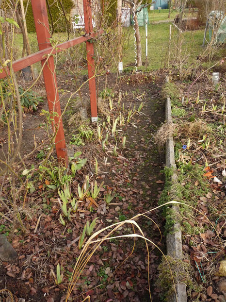  - 2021 - 01 - Primavara