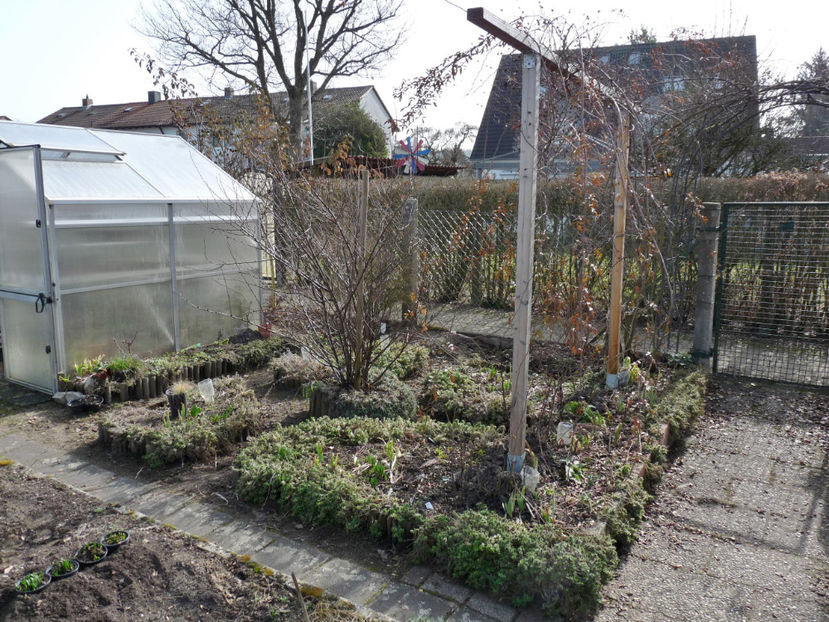 2. martie, in asteptarea gerului - 2021 - 01 - Primavara