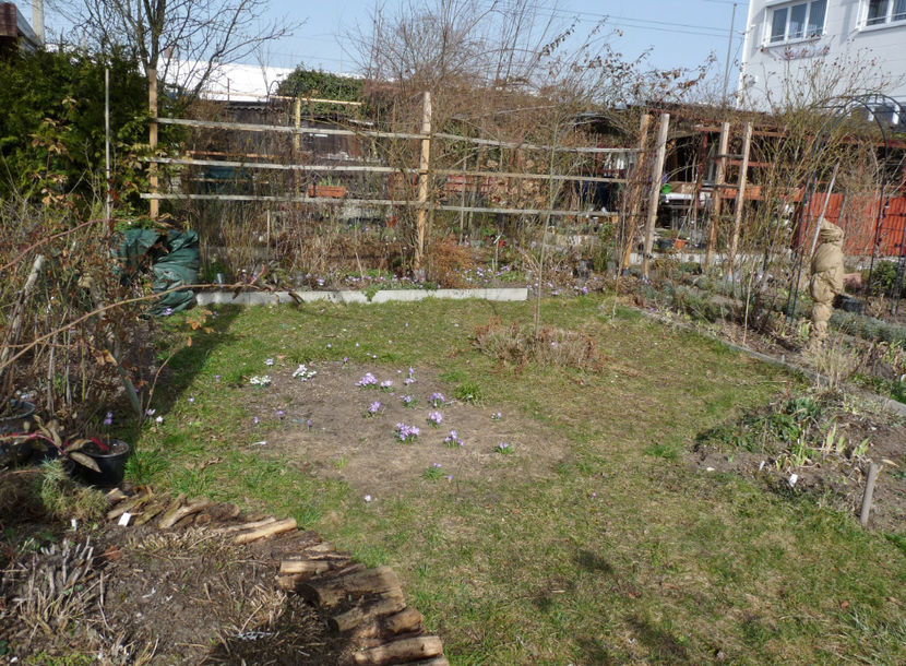 si temperaturi nocturne la -8°C. - 2021 - 01 - Primavara