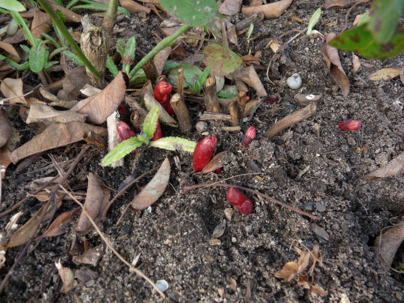 Ne-am trezit! - 2021 - 01 - Primavara