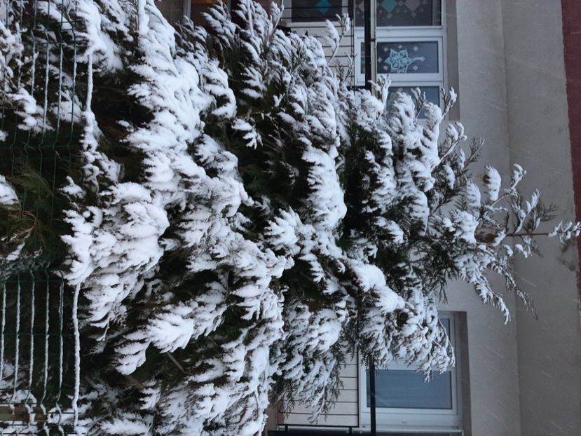  - Zăpadă în martie 2021