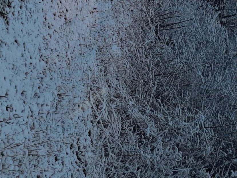  - Zăpadă în martie 2021