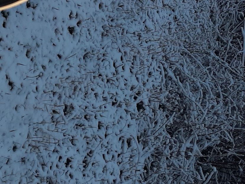  - Zăpadă în martie 2021