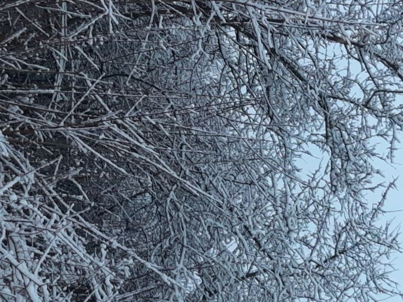  - Zăpadă în martie 2021