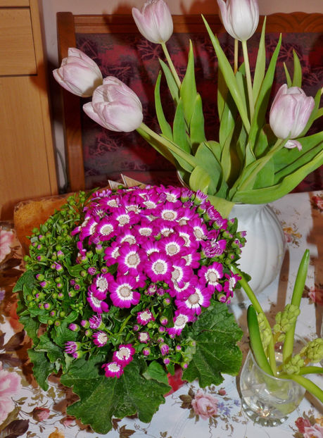  - 2021 - 01 - Primavara