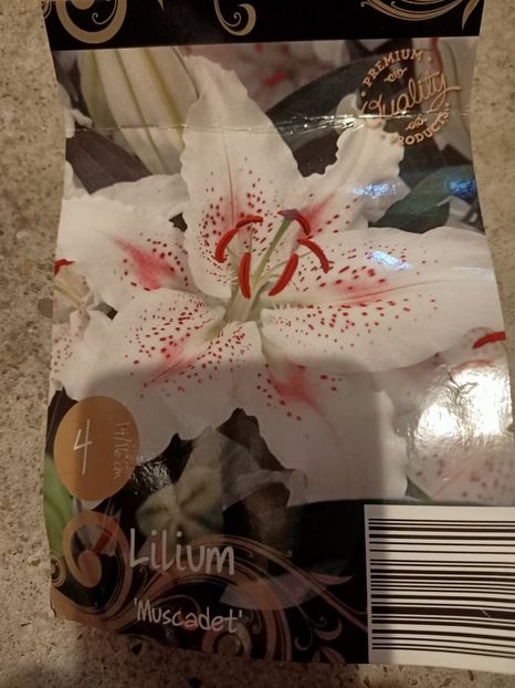  - 1 Achiziție nouă