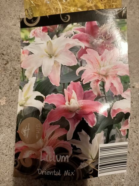  - 1 Achiziție nouă