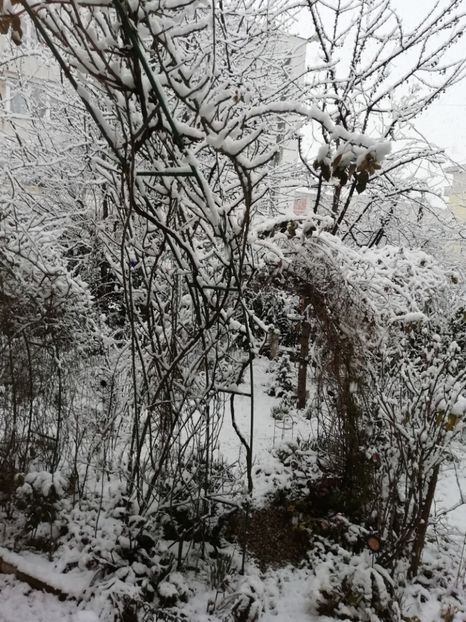 12.03.2021 - Grădina 2021