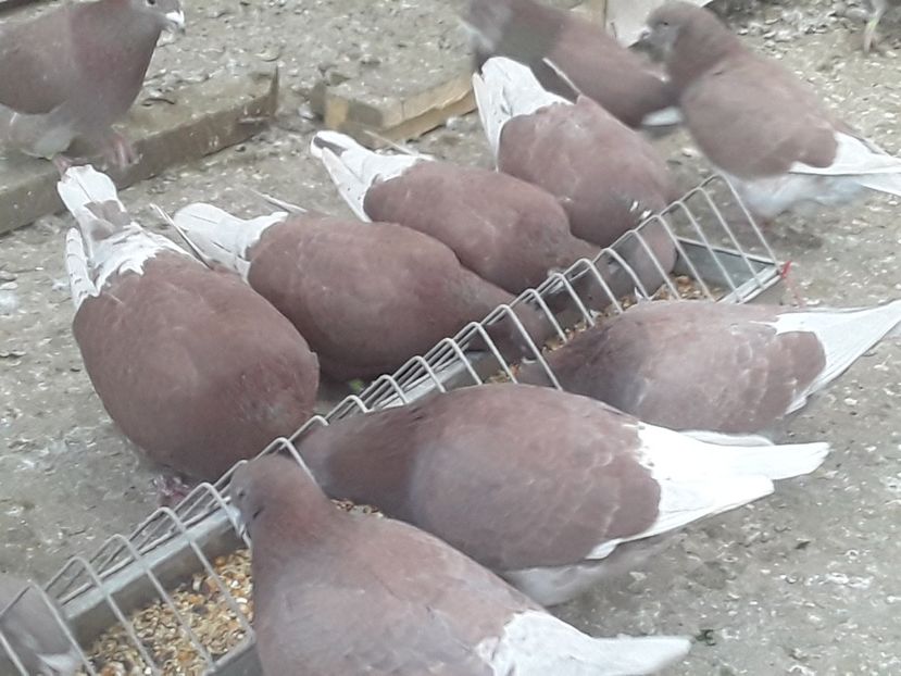 20210303_161948 (1) - CONTACT