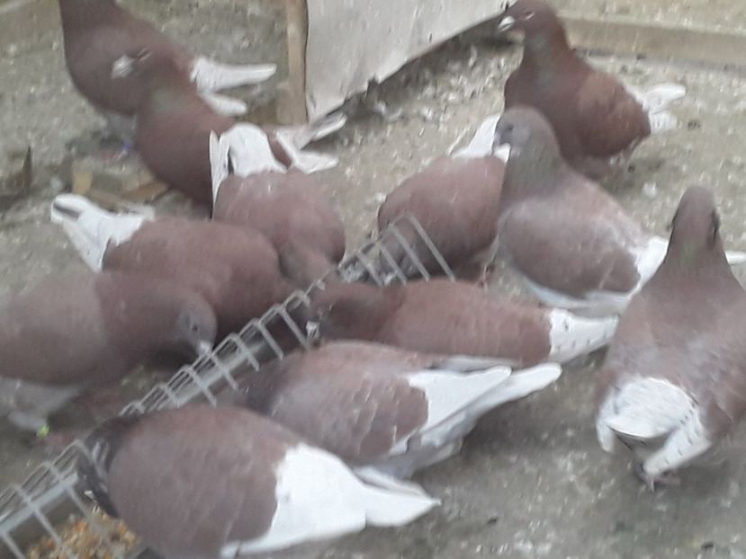 20210303_161958 (1) - CONTACT