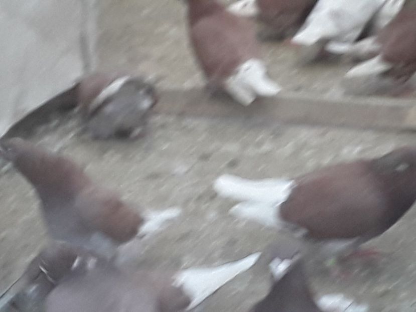 20210303_162126 (1) - CONTACT