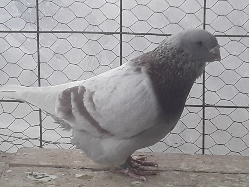 20210313_094847(0) - CONTACT