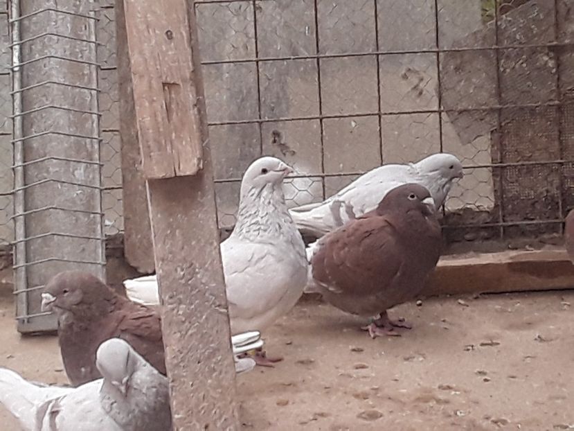 20210313_105255(0) - CONTACT