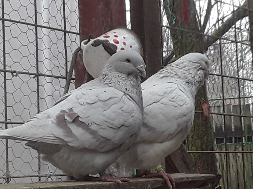 20210313_105557(0) - CONTACT