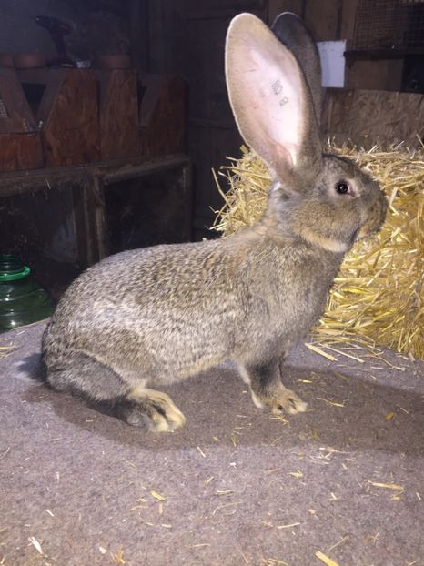 88A9415C-0AE0-4186-94E2-0900537764A9 - RO 8-115