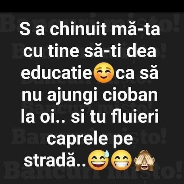  - Divertisment 3