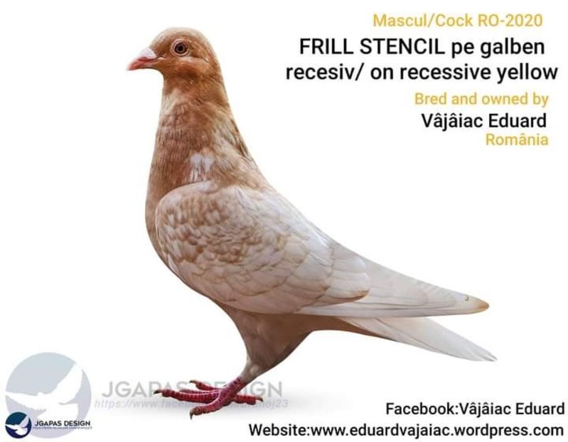  - NU IMI APARTIN ALBUM NR 2