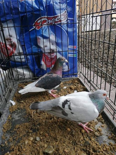  - NU IMI APARTIN ALBUM NR 2