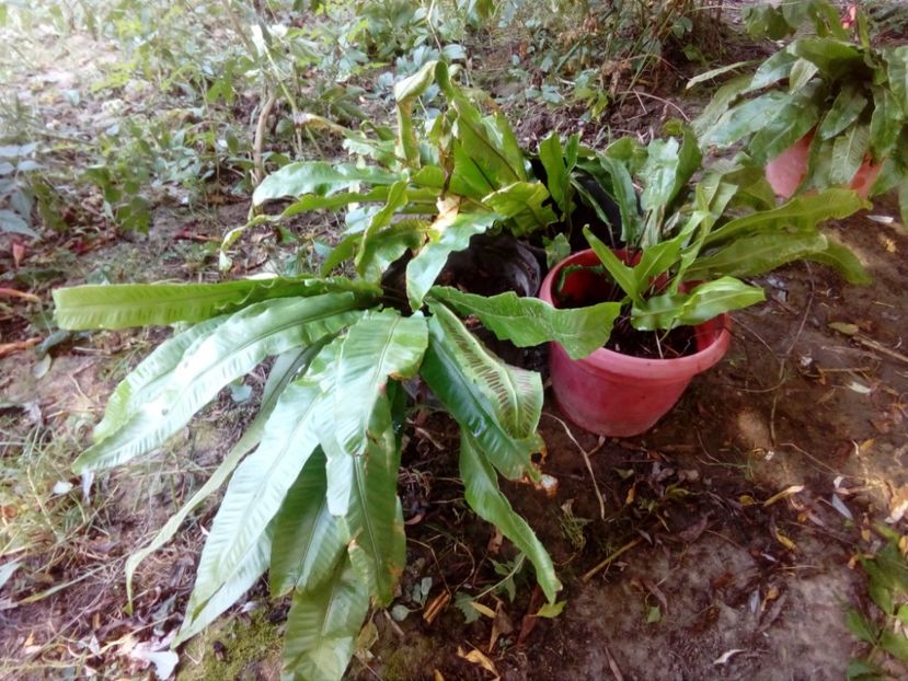 70513666_459850374603257_274229882278379520_o - w Produse livrate