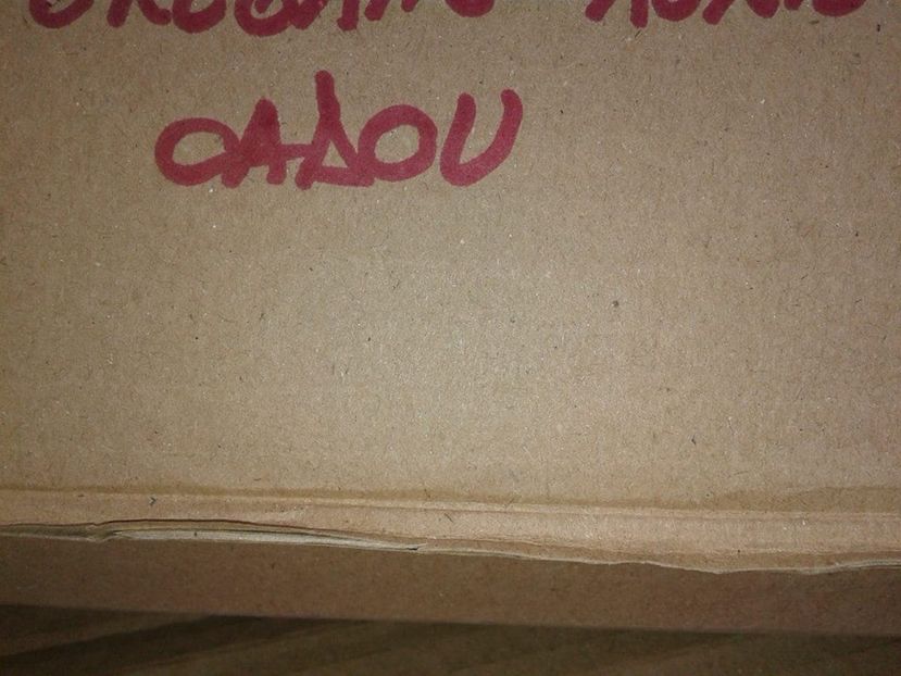  - w Produse livrate