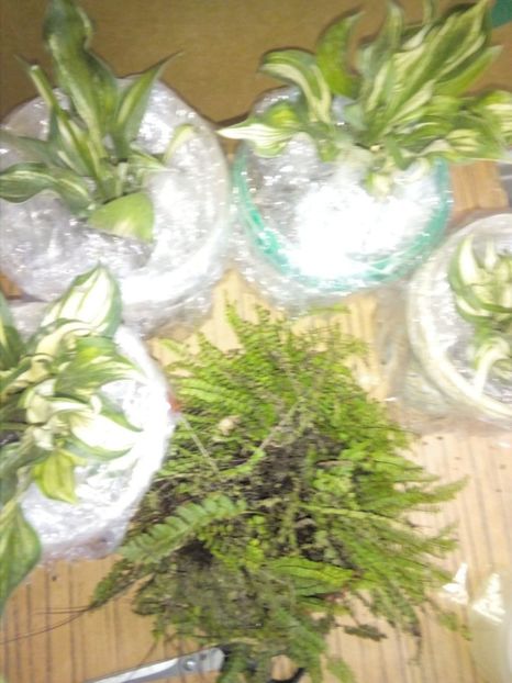 118629590_683808598874099_5651141427219709115_o - w Produse livrate