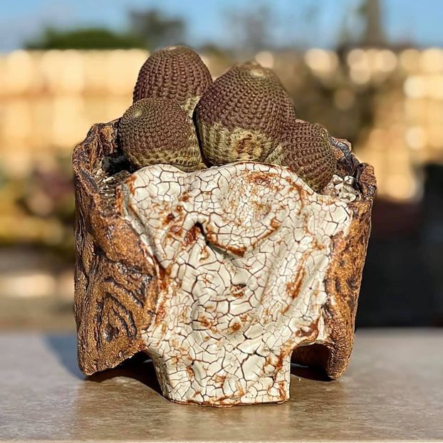 Don Hunt - Vase - aranjamente - accesorii