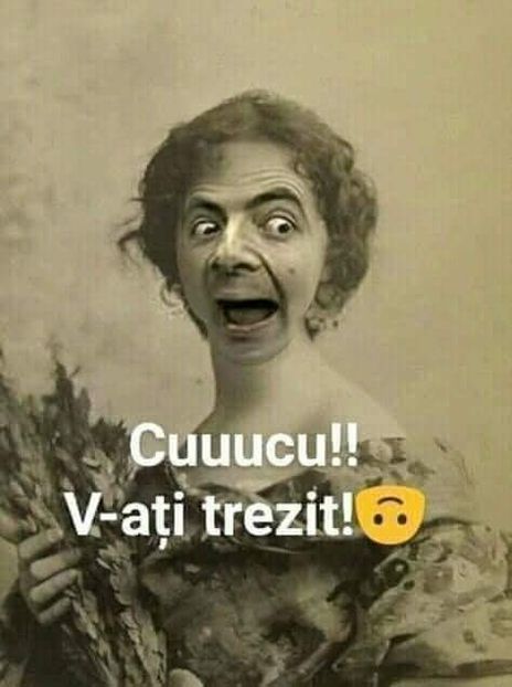  - Divertisment 3